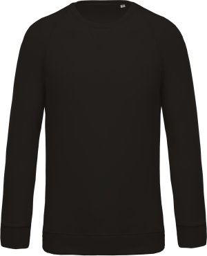 Organic cotton crew neck raglan sleeve sweatshirt K480